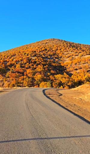 عکس بانه