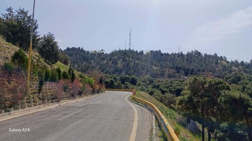 بوستان جنگلی لویزان