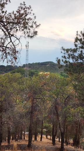 بوستان جنگلی لویزان