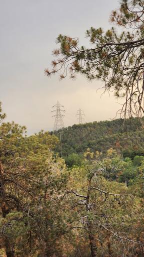 بوستان جنگلی لویزان