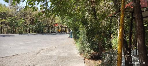 عکس بوستان جنگلی لویزان