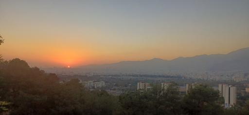 عکس بوستان جنگلی لویزان