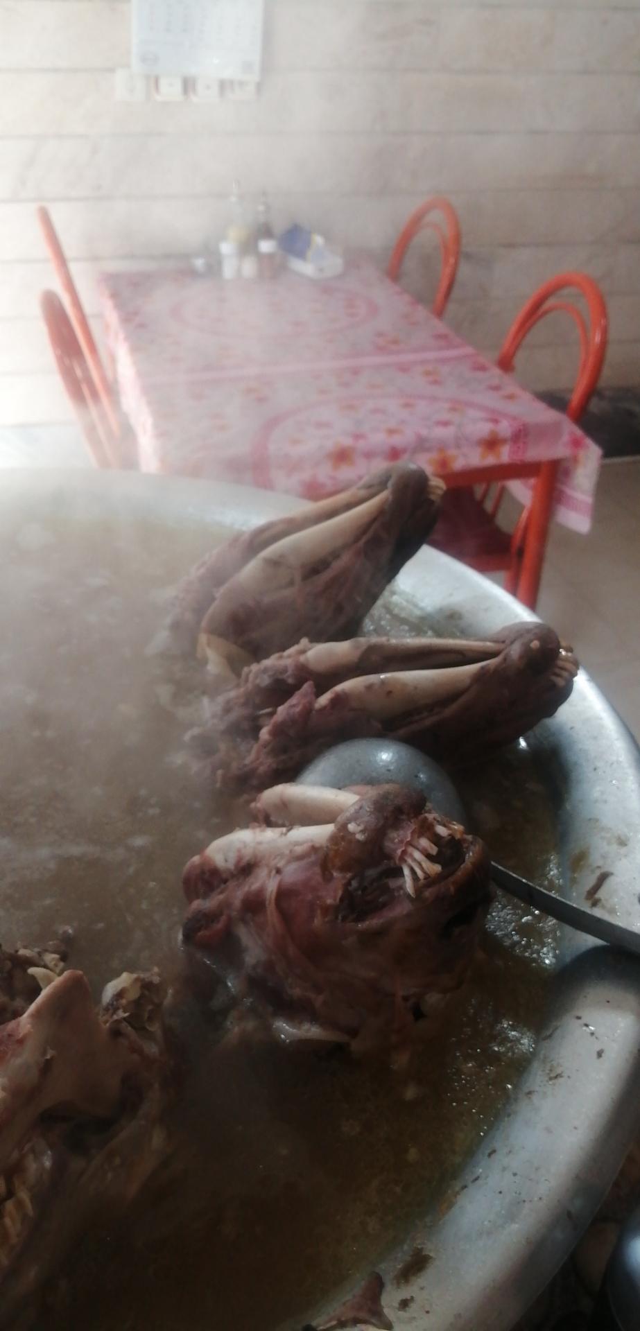 عکس طباخی سبلان