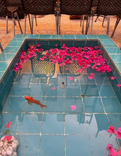 عکس کافه حاج رئیس