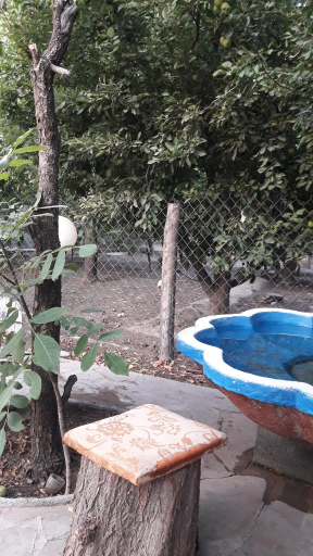 عکس آتا باغی