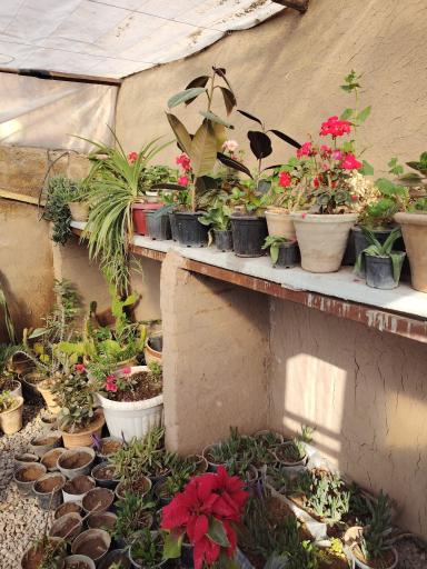 عکس اقامتگاه بومگردی جوری