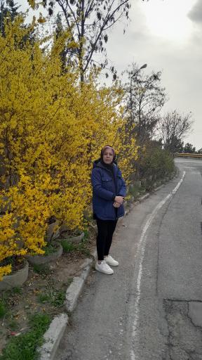 عکس بوستان جنگلی لویزان