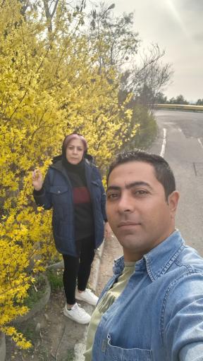 عکس بوستان جنگلی لویزان