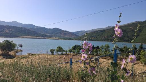 عکس بانه