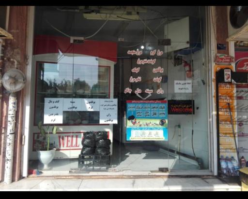 عکس مرغ فروشی سپید 