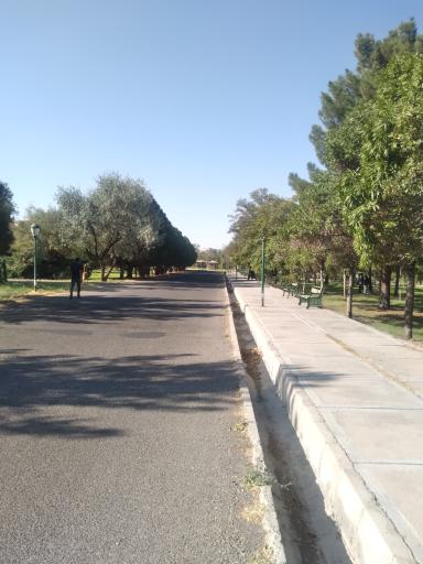 عکس دانشگاه شهید مدنی آذربایجان