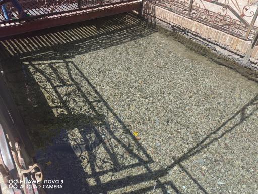 عکس شش مقسم جوپار