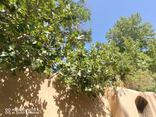 عکس شش مقسم جوپار