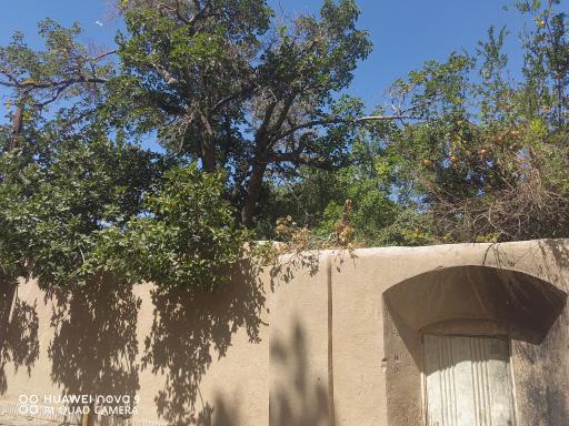 عکس شش مقسم جوپار