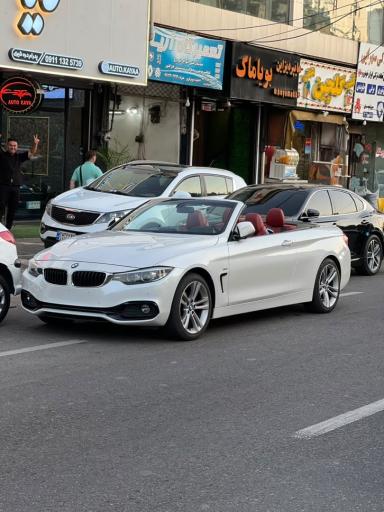 عکس اتو طاووس