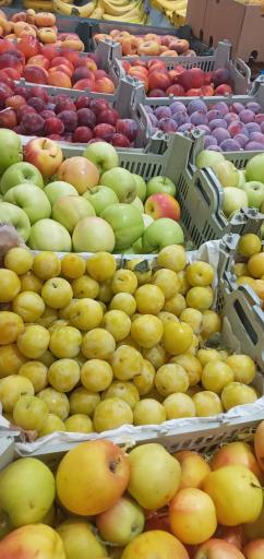 عکس میوه فروشی پاییزان