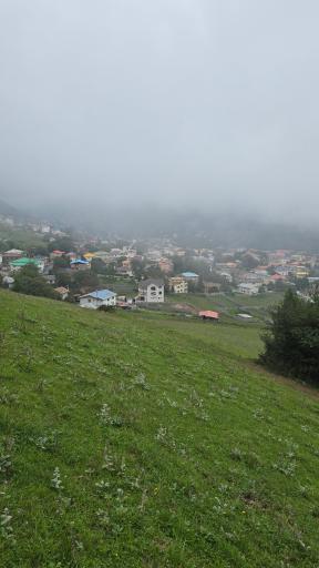 عکس جنگل مجل