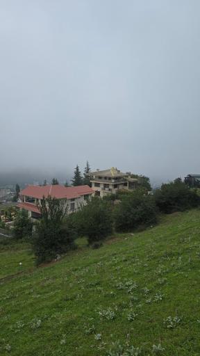 عکس جنگل مجل