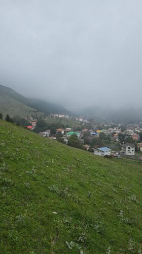 عکس جنگل مجل