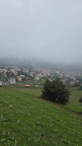 عکس جنگل مجل