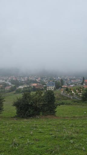 عکس جنگل مجل