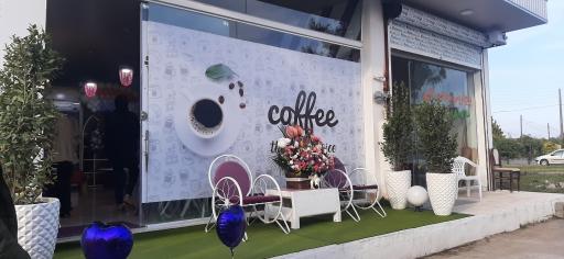 عکس کافه نیو 