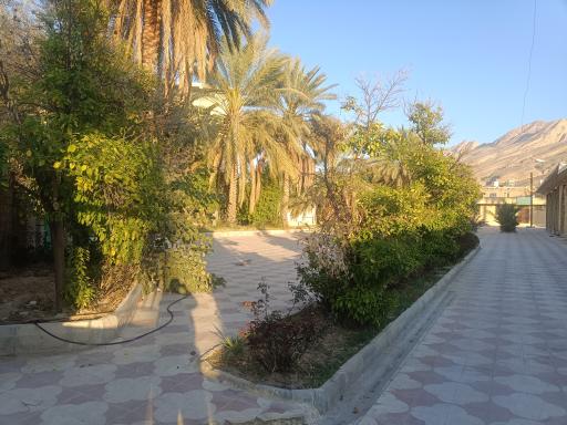 عکس مسجد امام زین العابدین (نارنجی) 