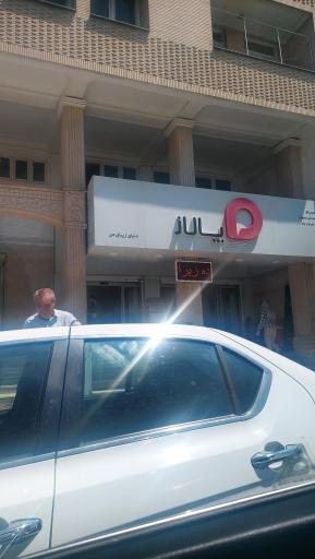 عکس پالاز موکت