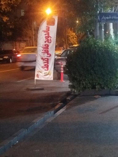 عکس ساندویچ فلافلی گندمک