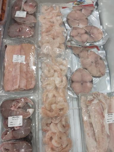 عکس پروتئینی شیلات بنادر