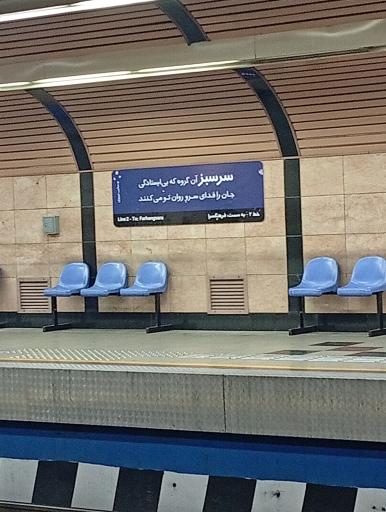عکس سر سبز
