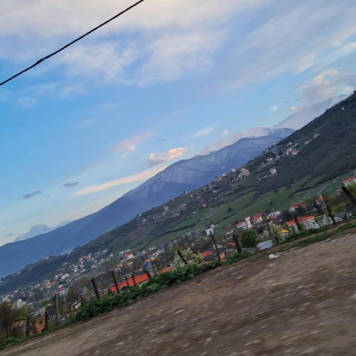 عکس جنگل مجل