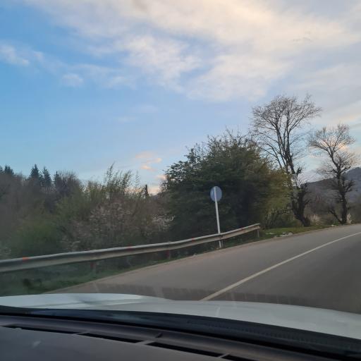 عکس جنگل مجل