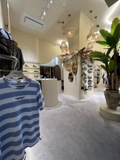 عکس گالری می لوکس