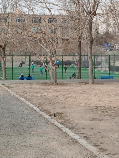 عکس زمین چمن وصفنارد