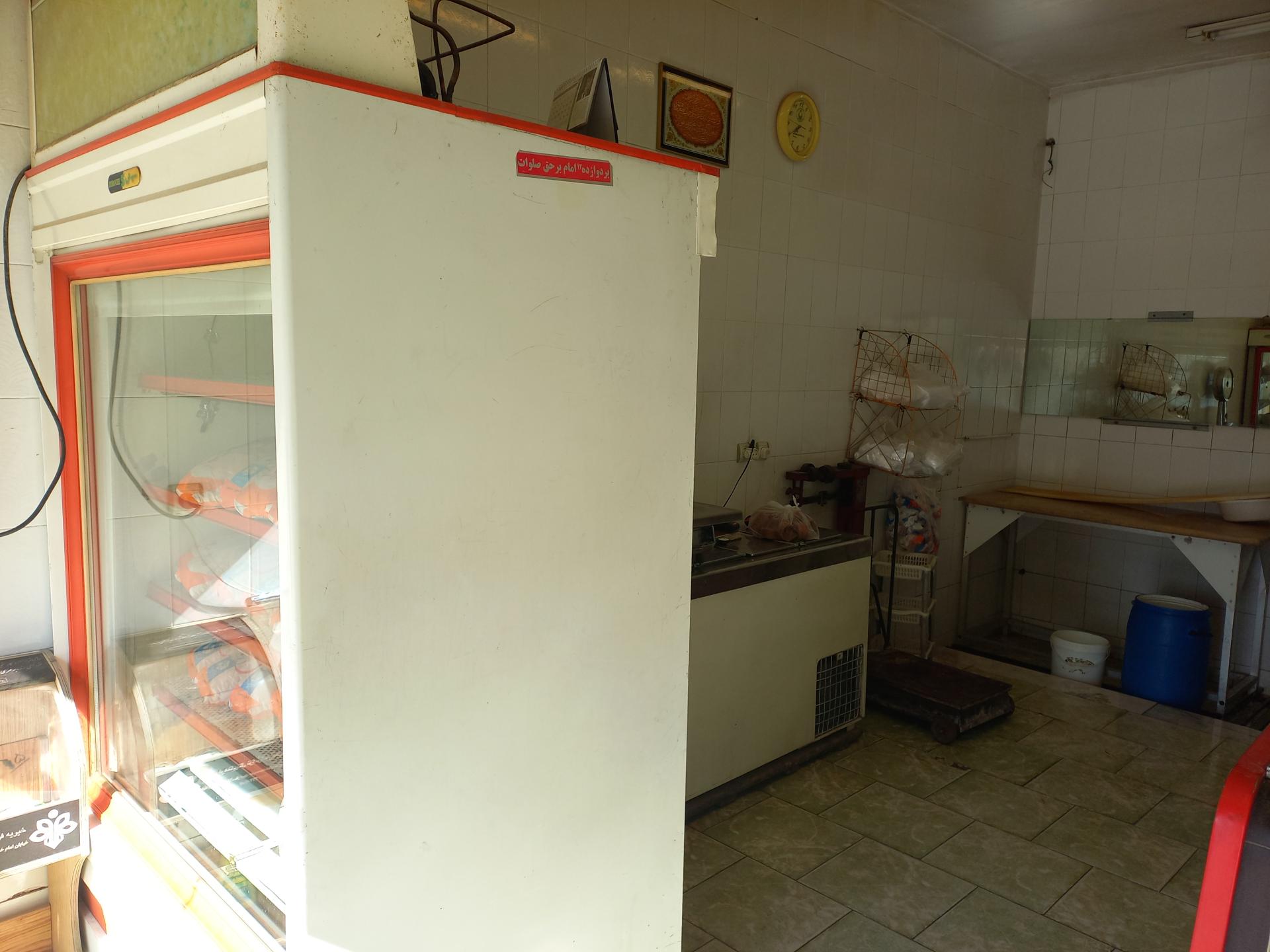 عکس مرغ ناز 