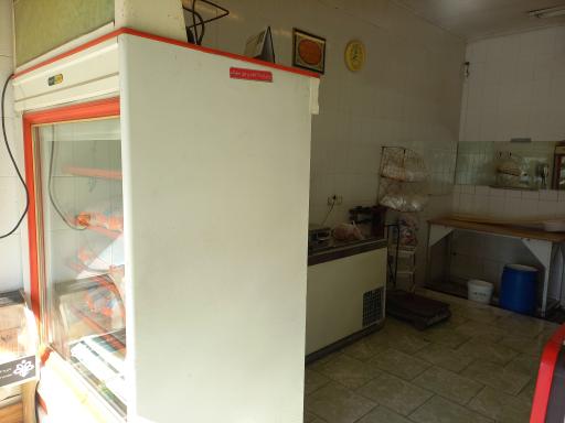 عکس مرغ ناز 