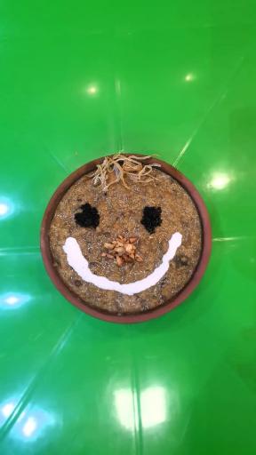 عکس آش‌خانه باباعلی