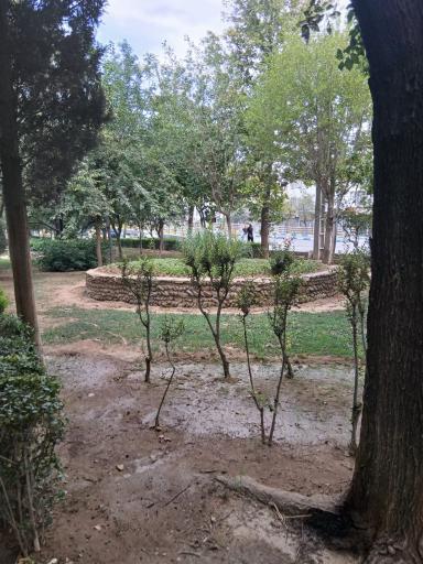 عکس پارک سایه