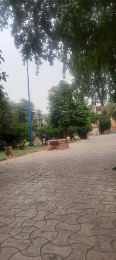 عکس پارک شهید صباغیان (باغ معین)