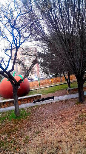 عکس بوستان آخماقیه