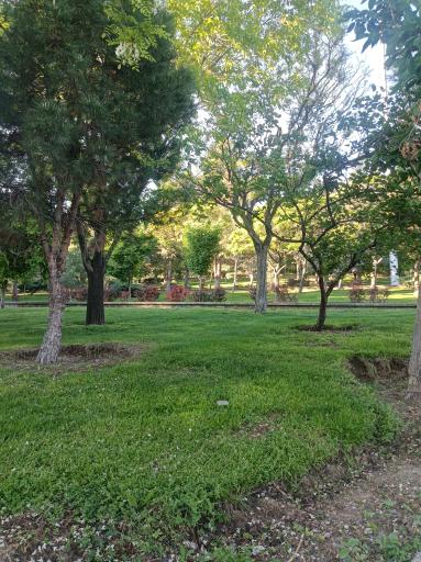 بوستان آخماقیه