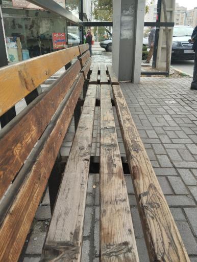 عکس  سید رضی 53