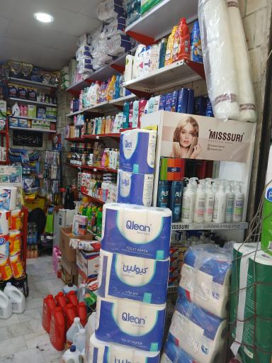 فروشگاه شوینده بهداشتی غزالی