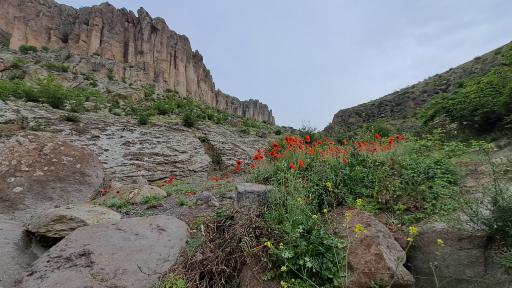 عکس مشکین شهر