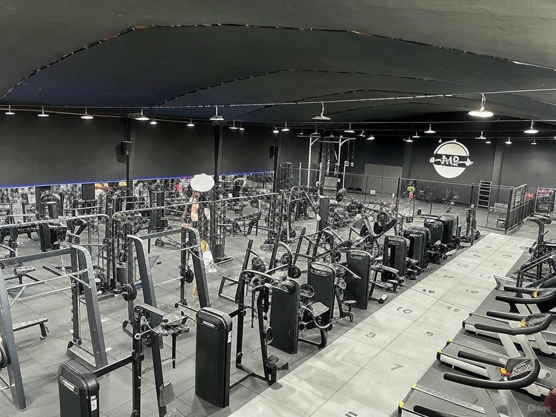 عکس باشگاه M2