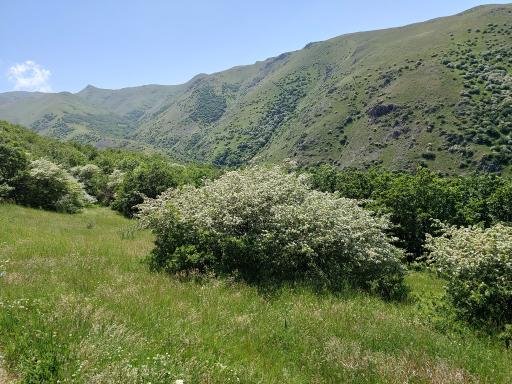 عکس مشکین شهر