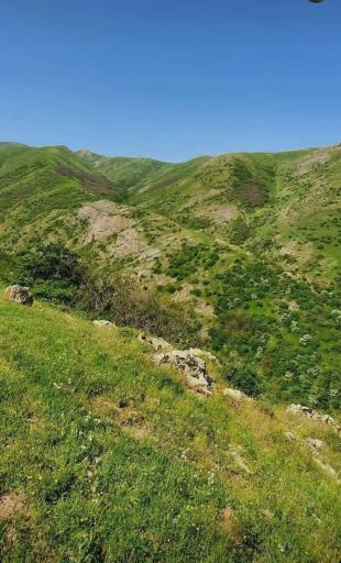 عکس مشکین شهر