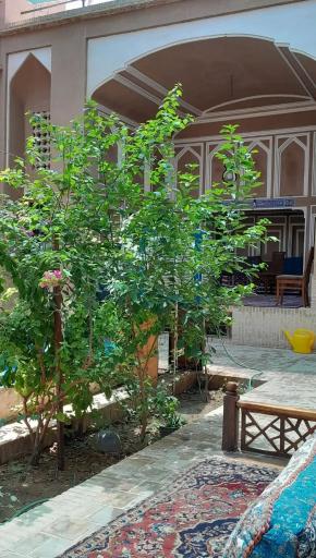عکس اقامتگاه وبوم گردی میرعماد