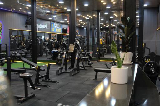 عکس باشگاه بدنسازی آقای بدن